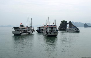 Vietnam (New)